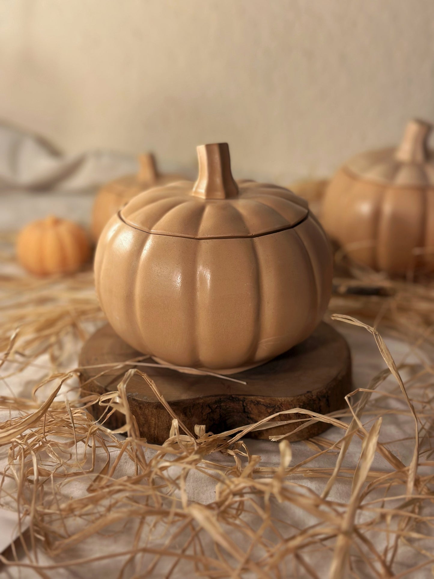 Large Pumpkin - Scented Candle
