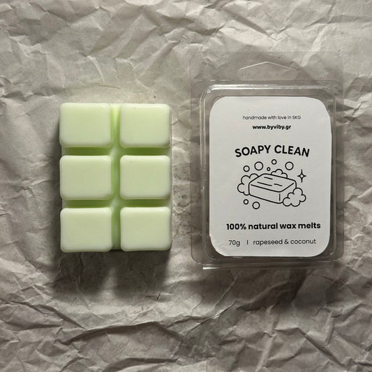 Soapy Clean - Snap Bar