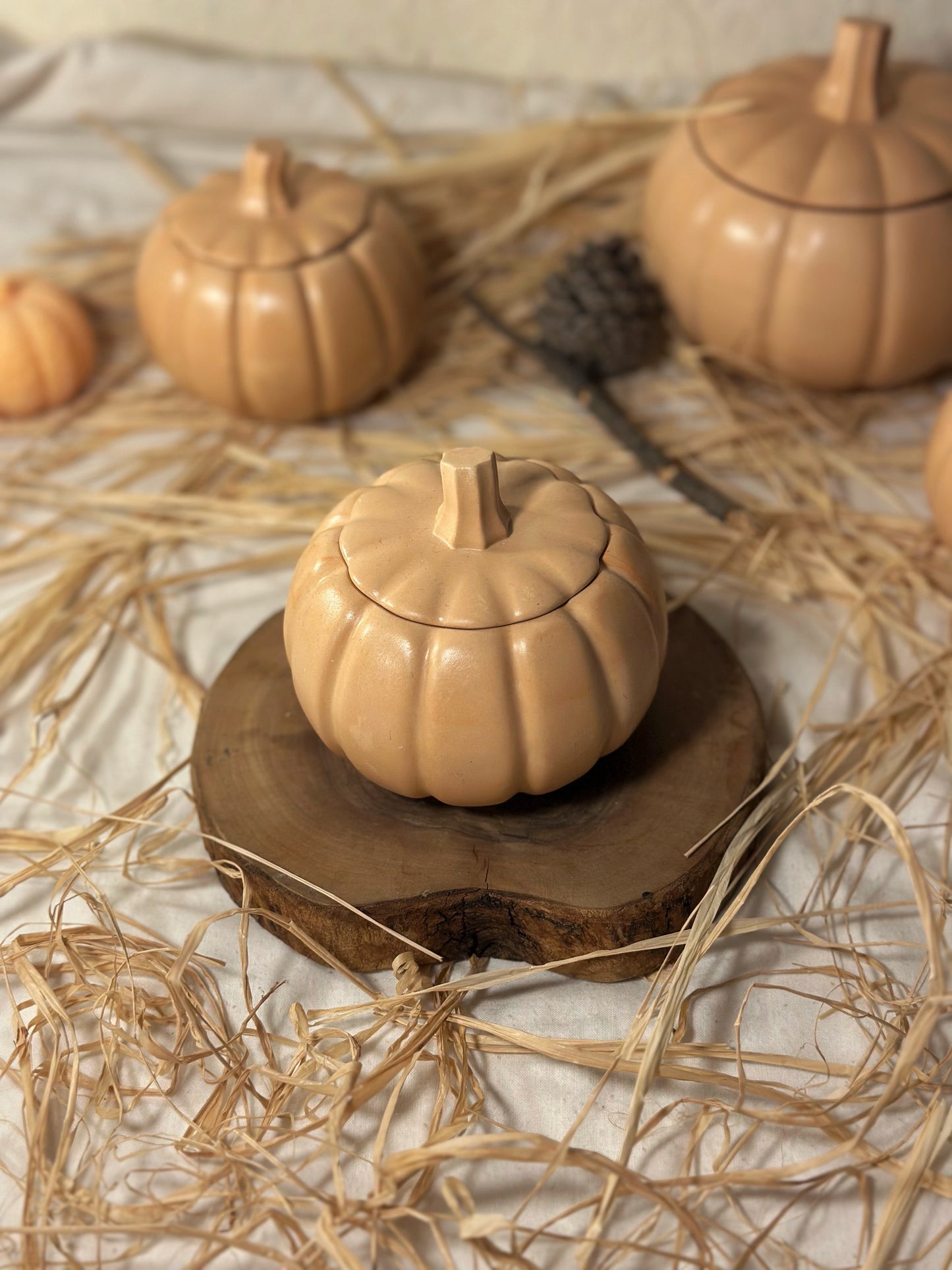 Pumpkin Harvest - Scented Candle