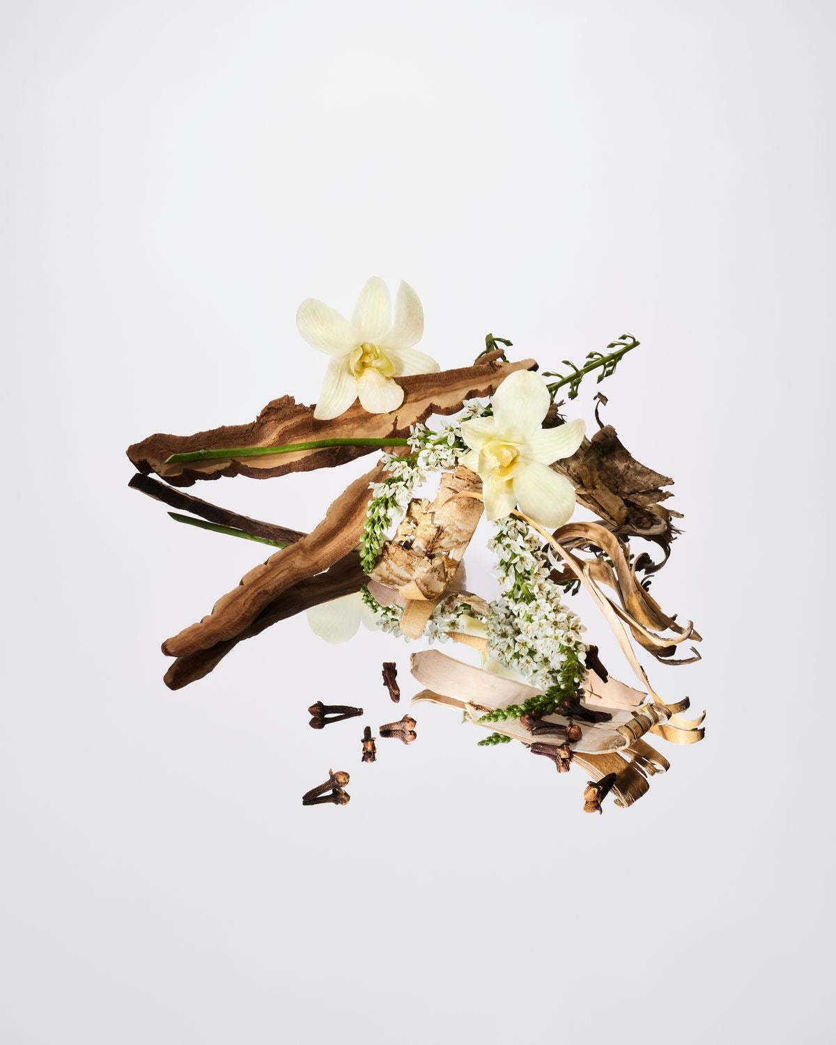 Cocodor Reed Diffuser - Vanilla & Sandalwood 120ml