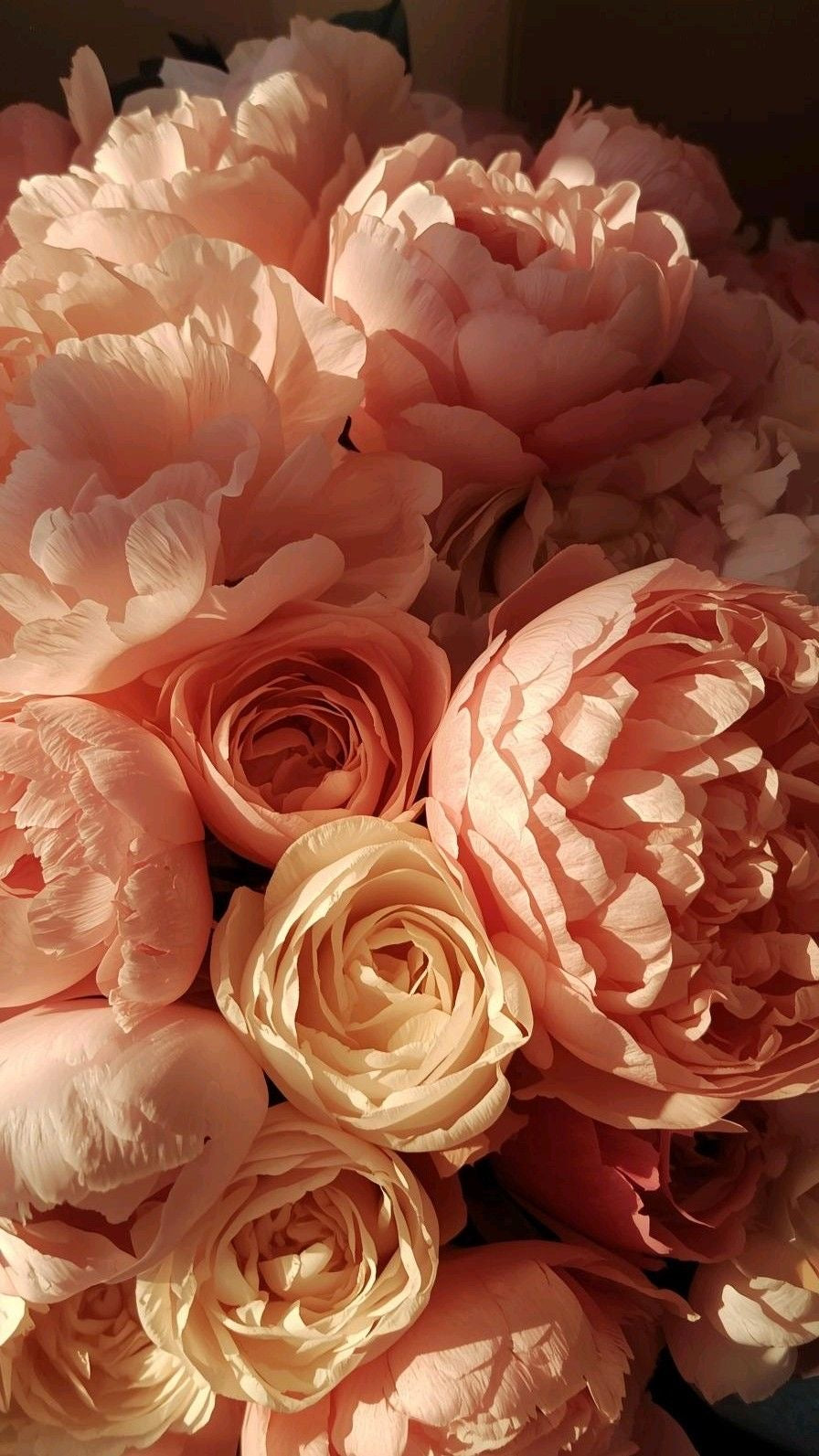 Cocodor Reed Diffuser -  Lovely Peony 120ml